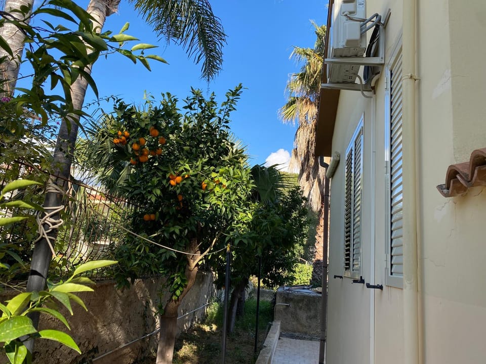 Garden view