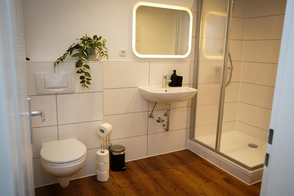 Shower, Toilet, Bathroom, towels