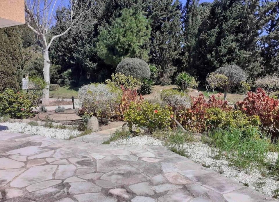 Garden, Garden view