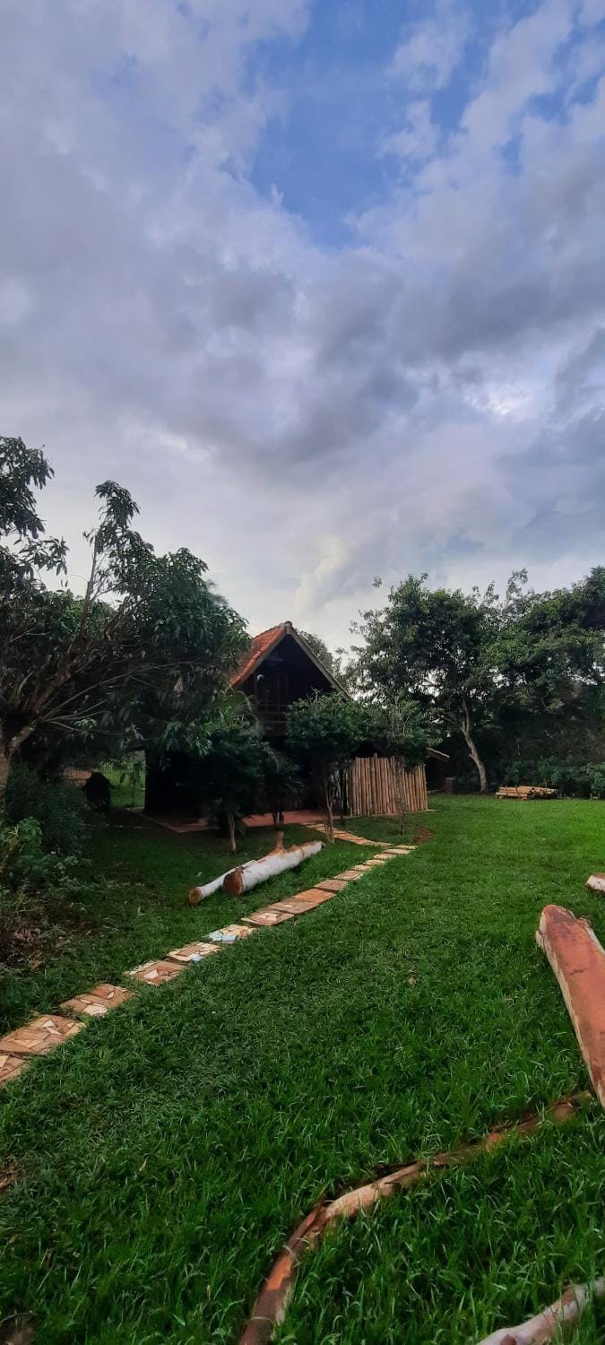Natural landscape, Garden, Garden view