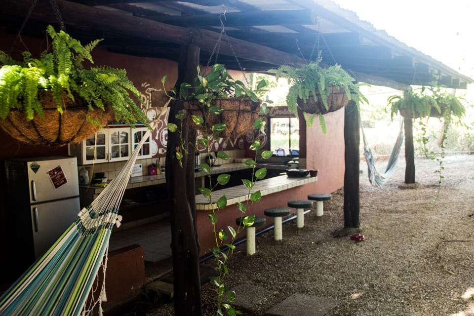 Communal kitchen, kitchen