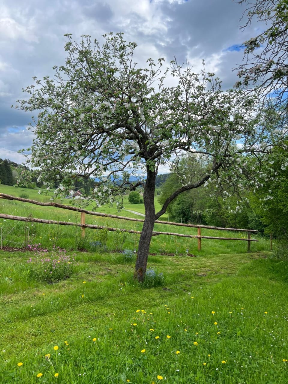 Ferienhaus energieautark in Mariahof Apartment in Styria