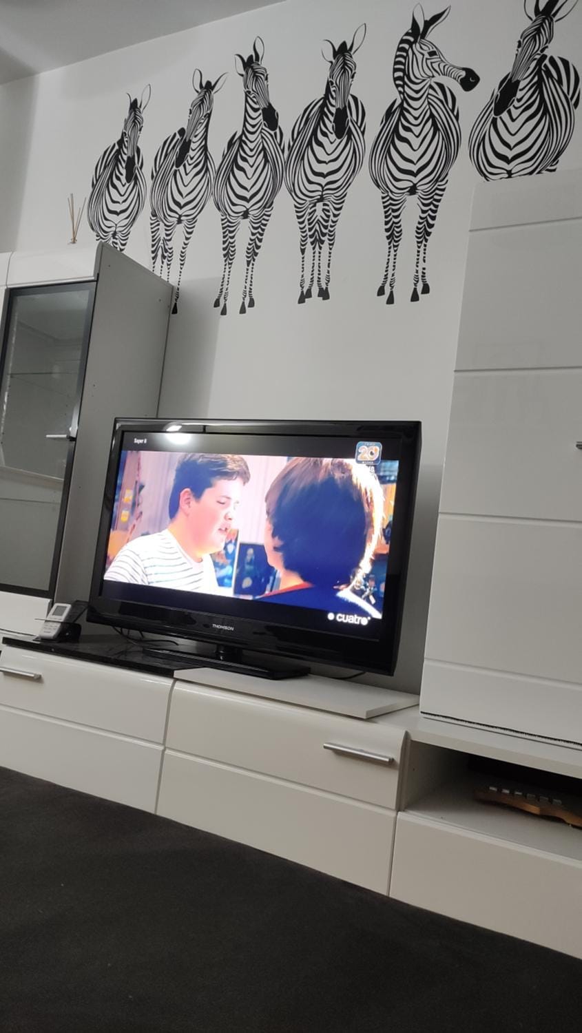 TV and multimedia