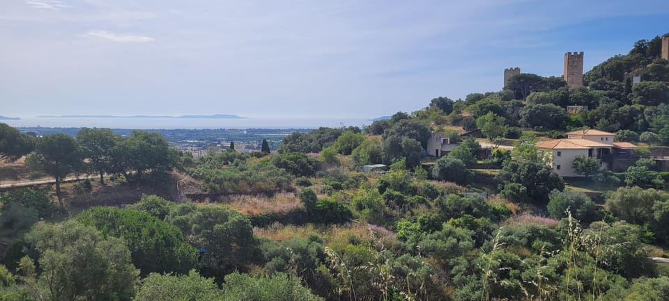 Natural landscape