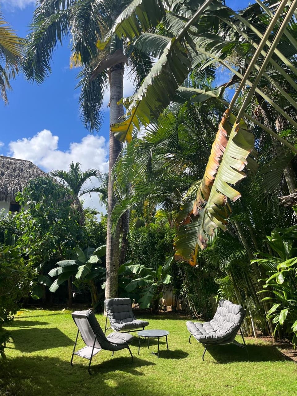 Casa Zebra lovely villa near the beach Villa in Las Terrenas