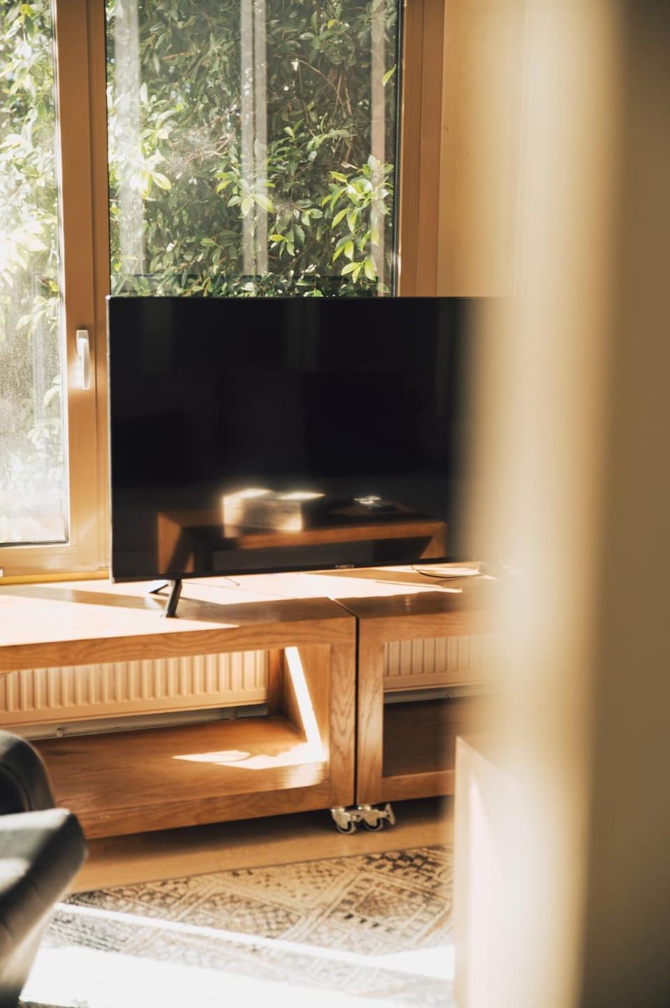 TV and multimedia