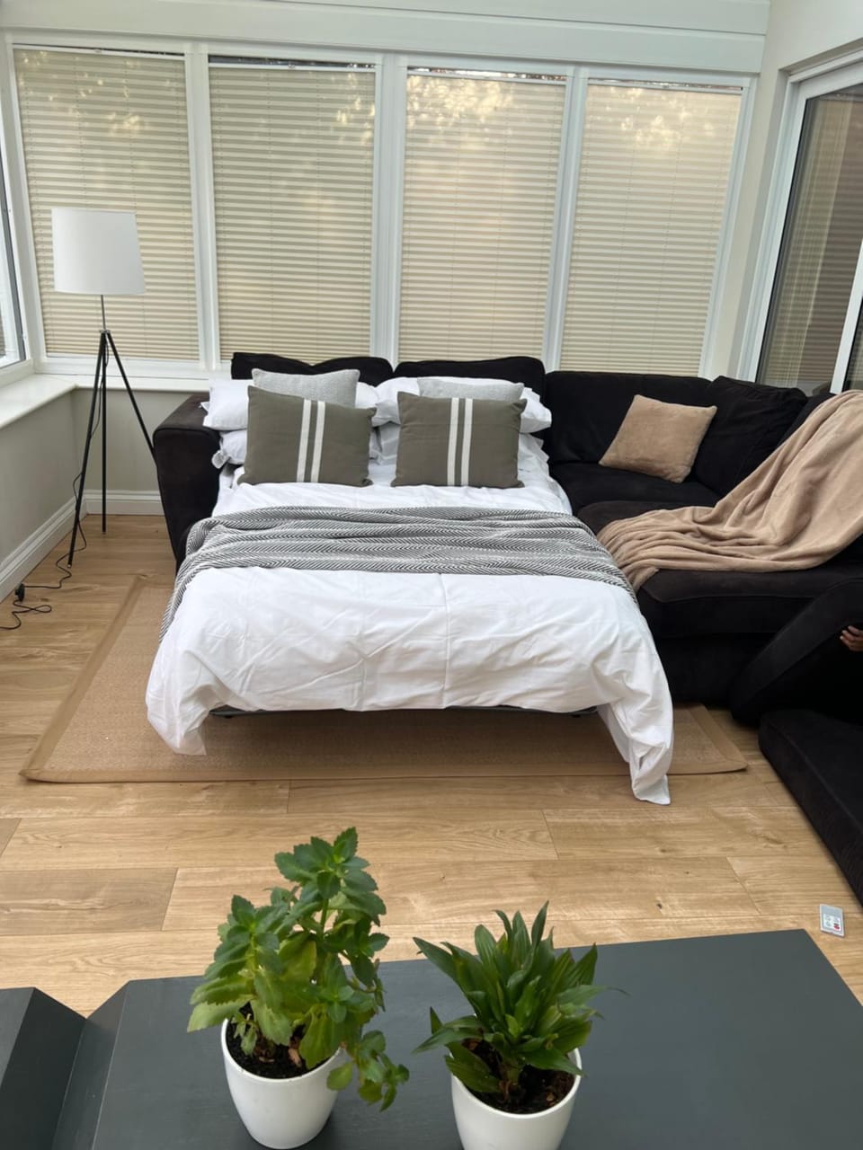Bed