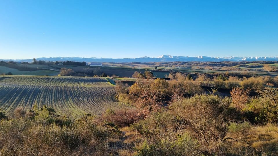 Mountain view