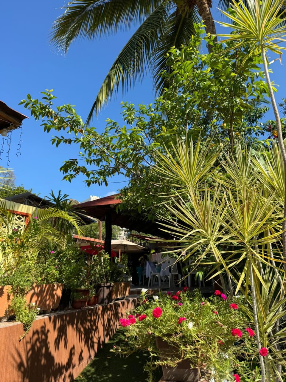Hotel Real Monrey Zihuatanejo Hotel in Zihuatanejo