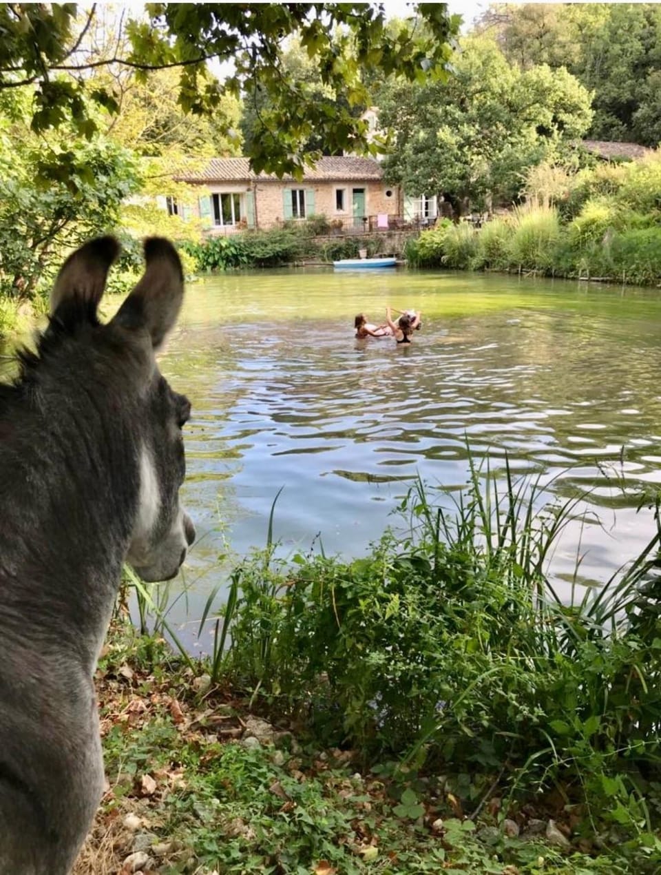 Le Moulin Haut Gîtes House in Occitanie