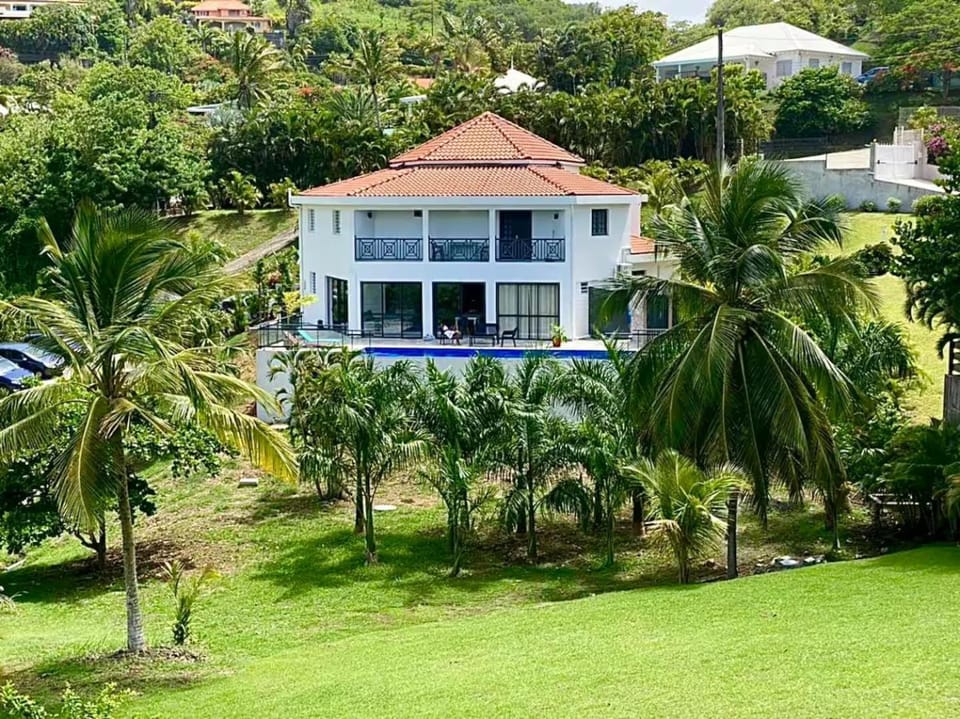 Property building, Garden, Garden view