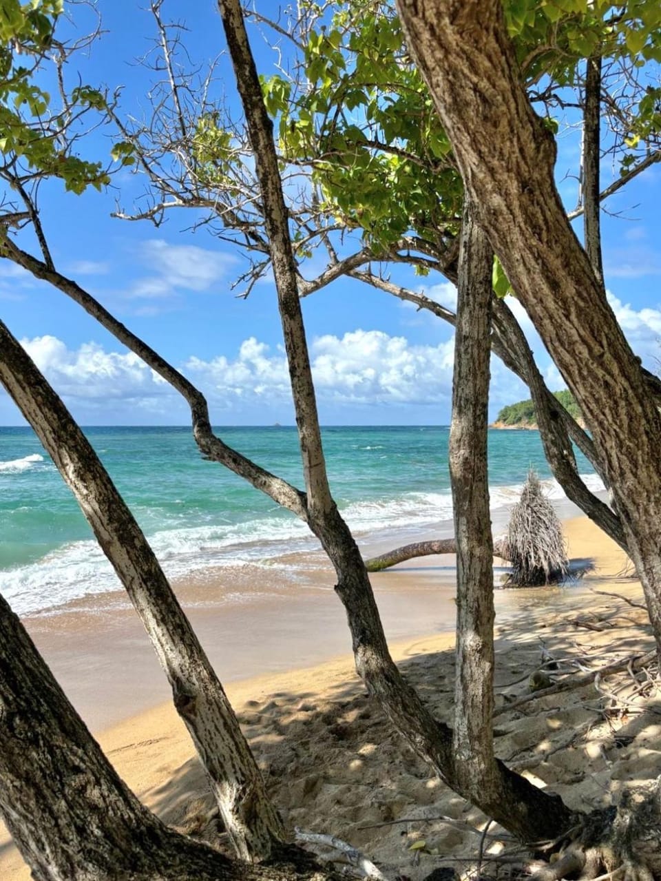 Nearby landmark, Natural landscape, Beach