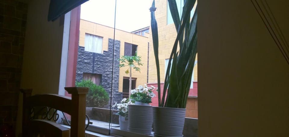 View (from property/room)