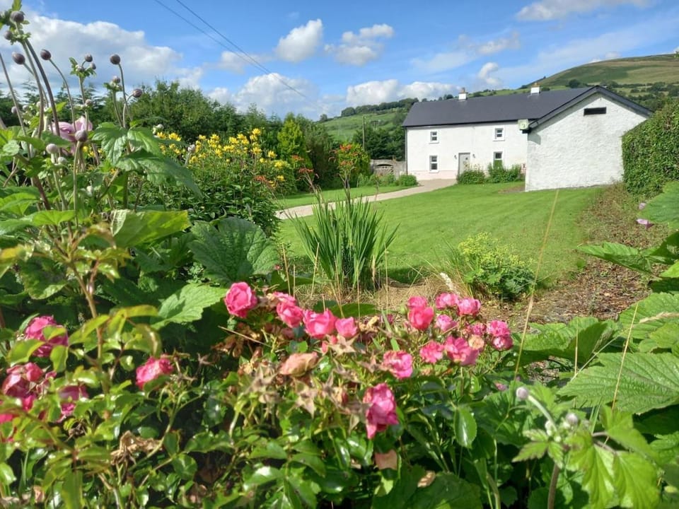 The Farmhouse House in Wicklow, Co. Wicklow, Ireland