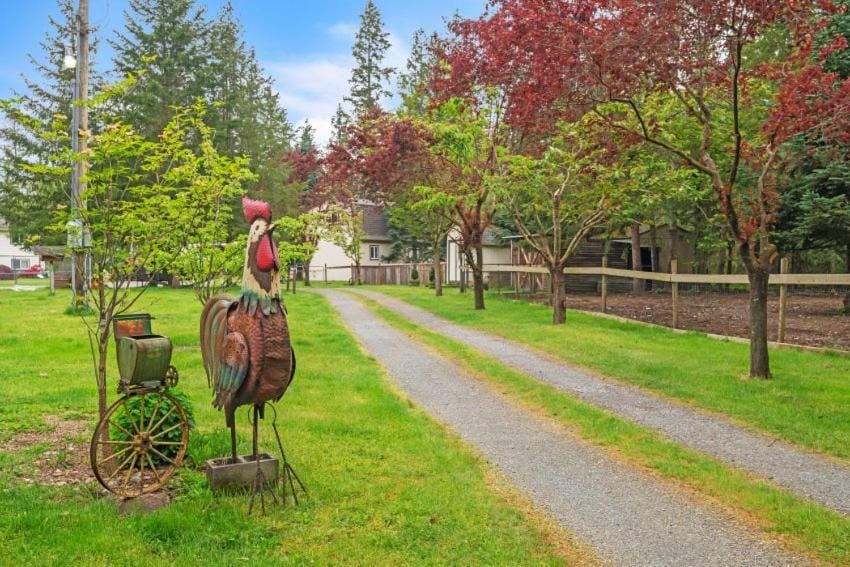 Cozy Country cottage House in King County