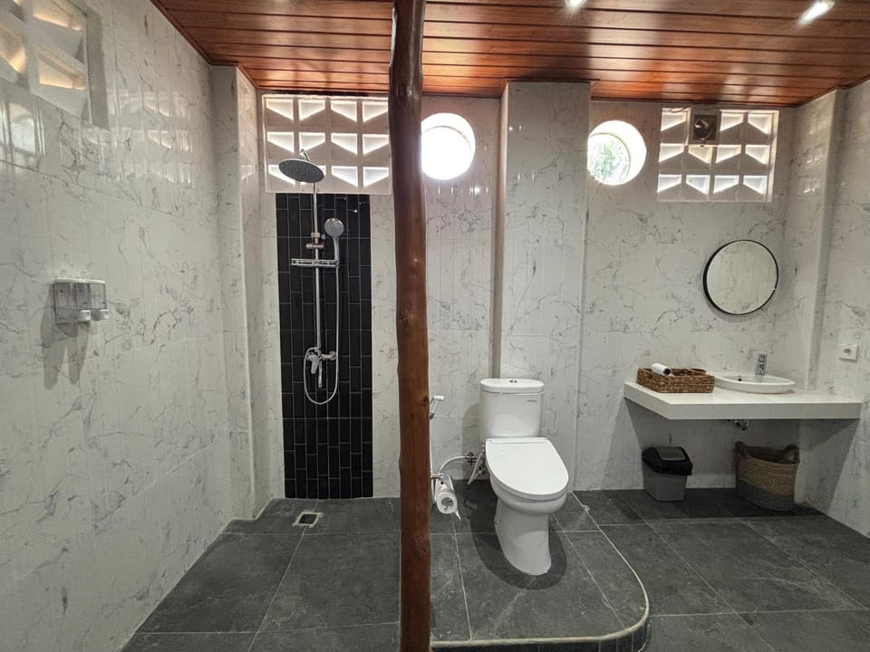 Shower, Toilet, Bathroom, bidet