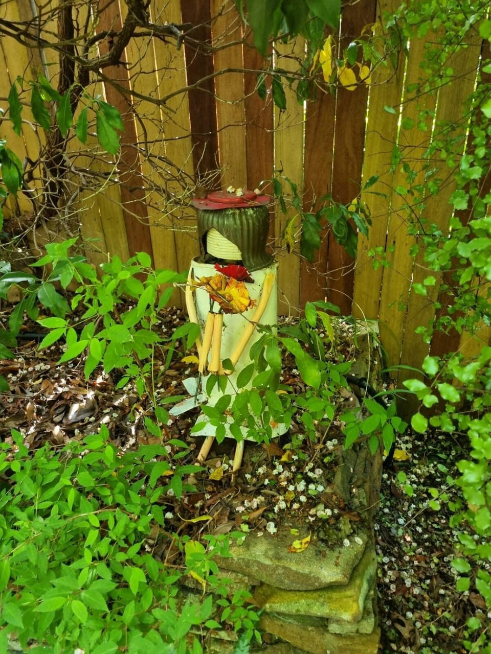 Natural landscape, Garden, Garden view