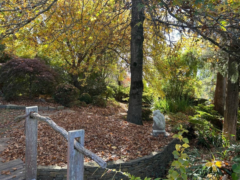 Maisie's Cottage House in Mount Victoria