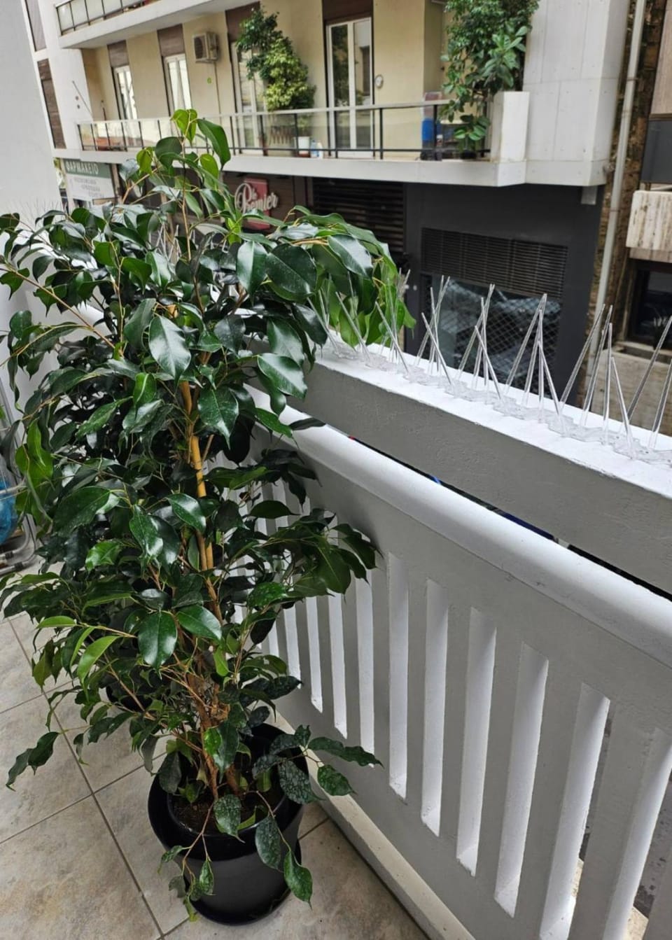 Balcony/Terrace