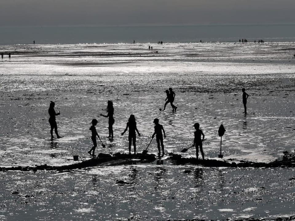Natural landscape, Activities, Beach, group of guests