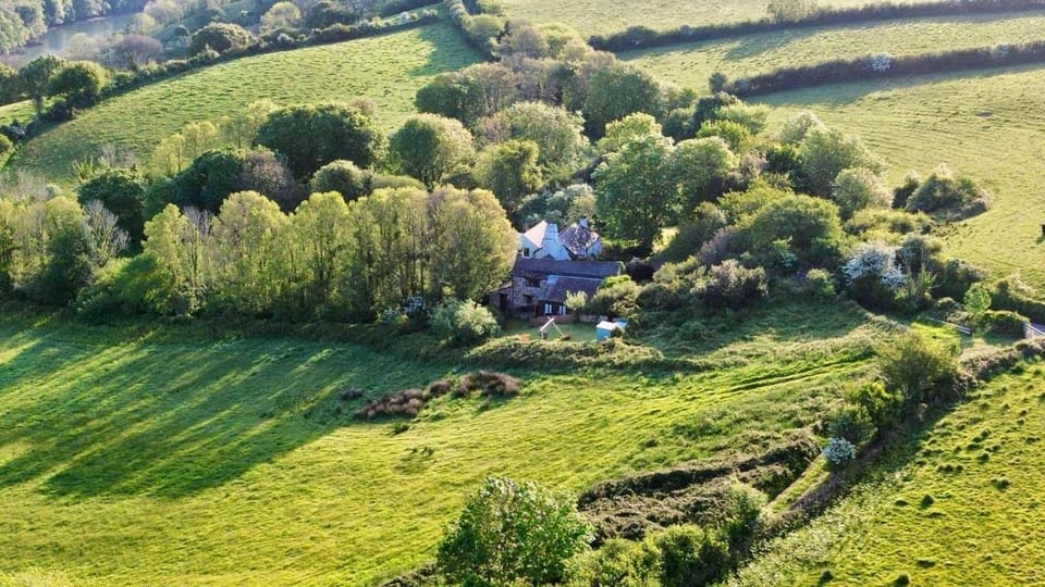 Spring, Day, Natural landscape, Bird's eye view, Garden, Garden view, Location