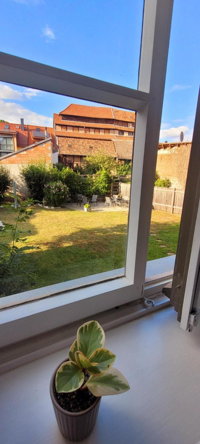 Garden view
