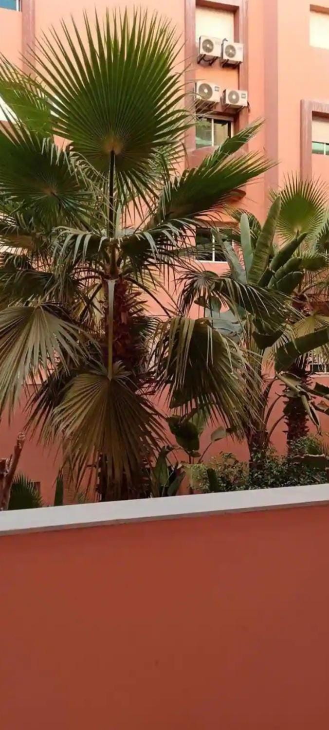 Bel appartement Marrakech Apartment in Marrakesh