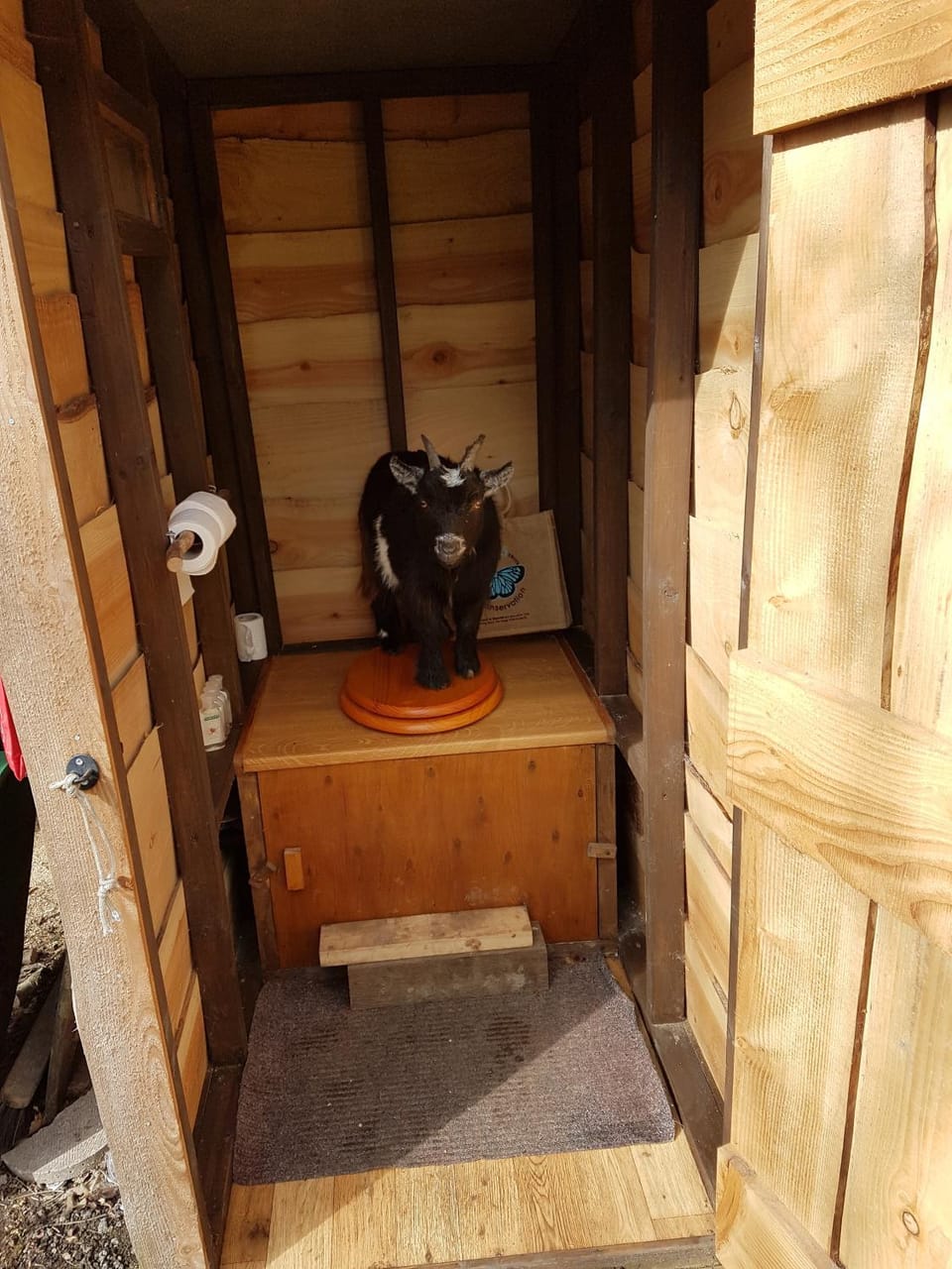 Dogwood Cabin Cabin in Rother District