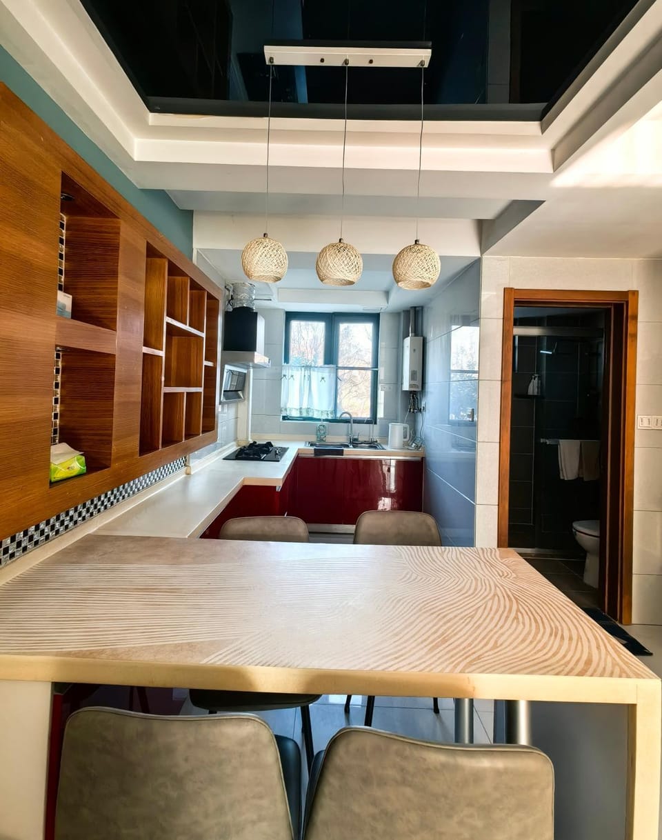 Kitchen or kitchenette, Seating area, Dining area