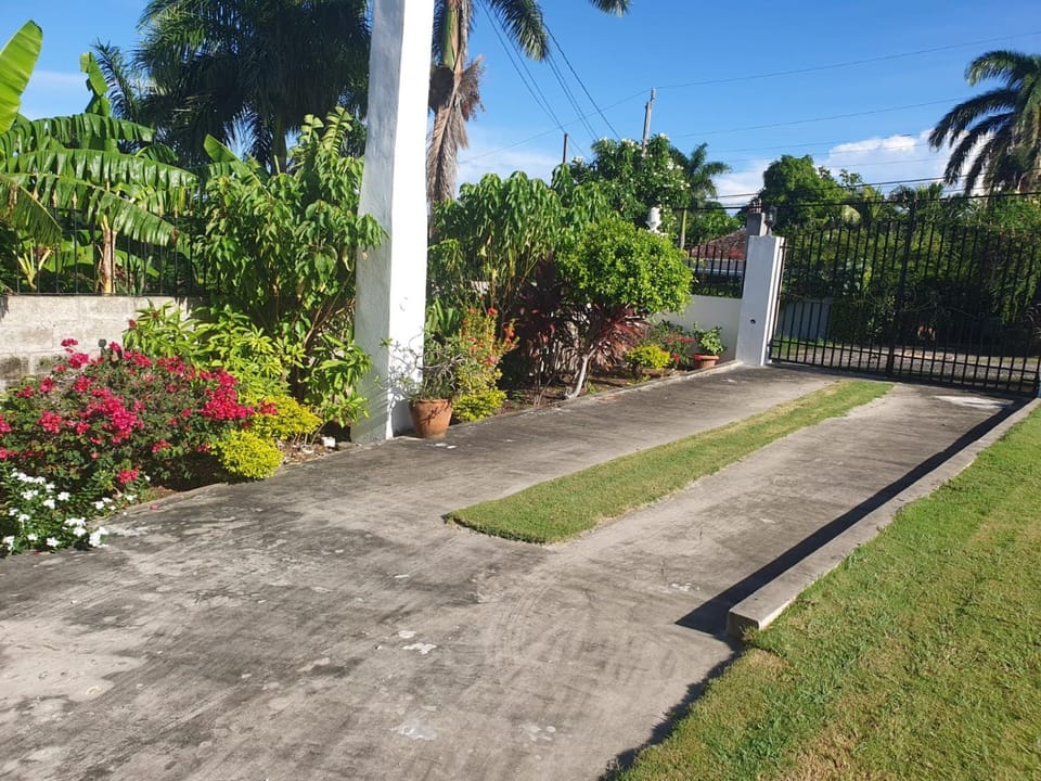 Natural landscape, Garden view