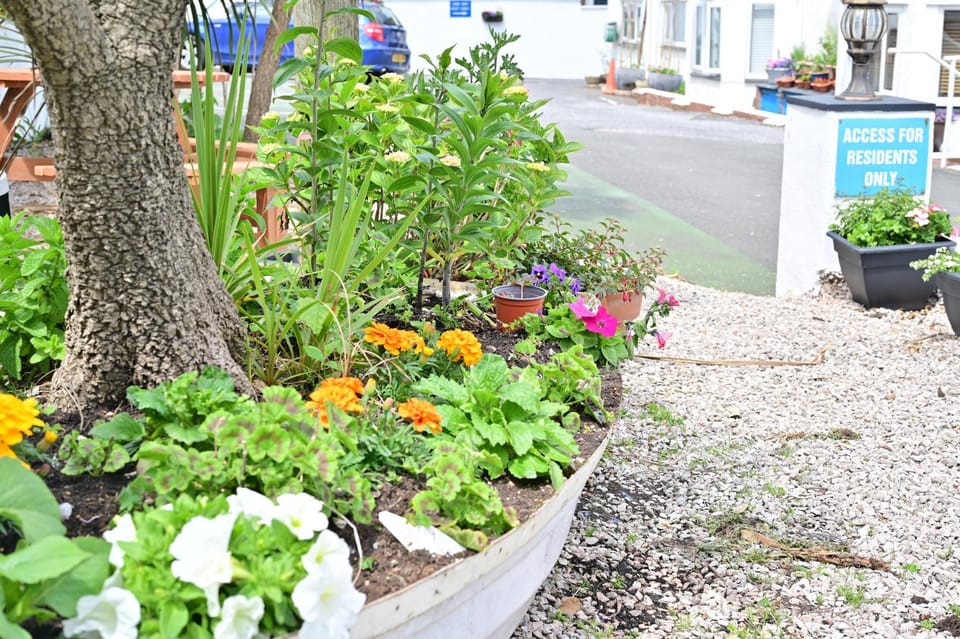 Garden view