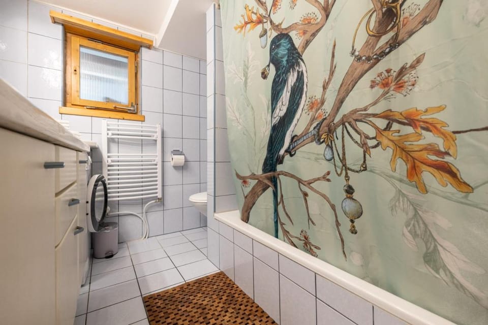 Perla Grischuna Apartment in Chur