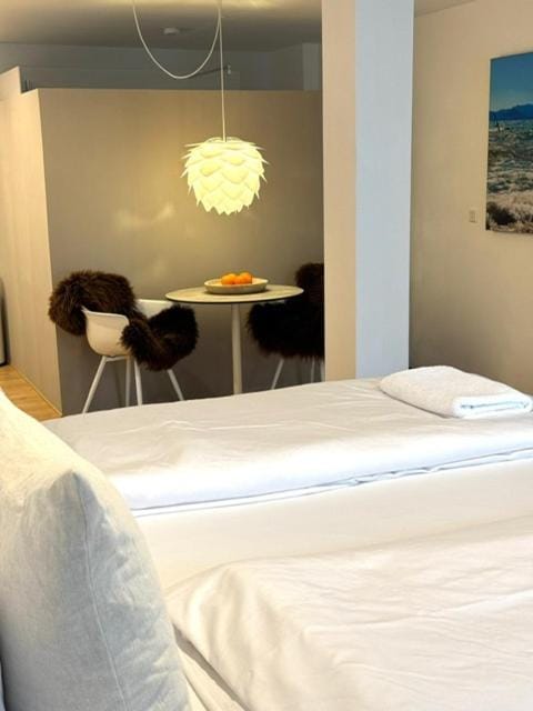 AltstadtEden Apartment in Konstanz