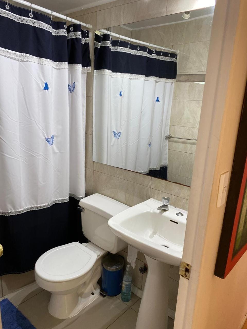 Depto hermoso Apartment in Vina del Mar