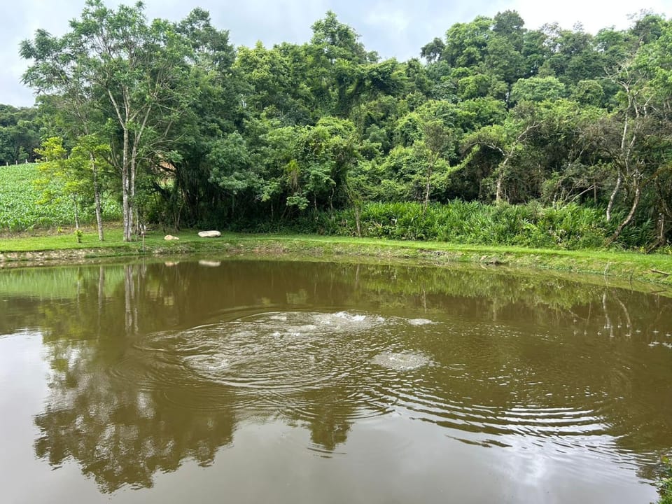 Fishing, Lake view
