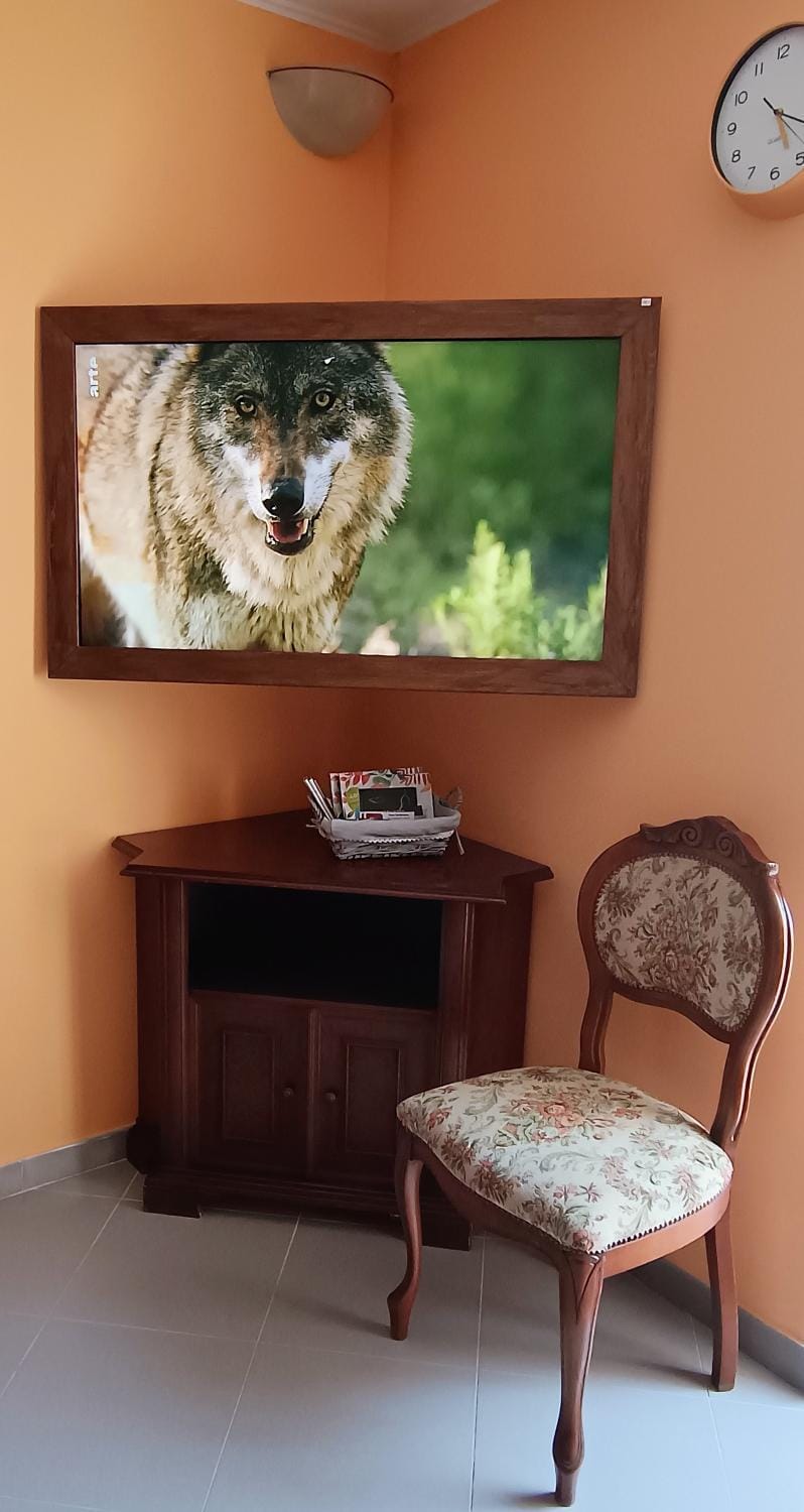 TV and multimedia