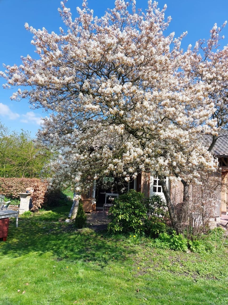 Spring