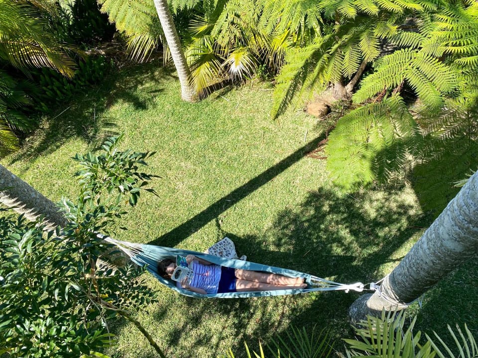Garden view