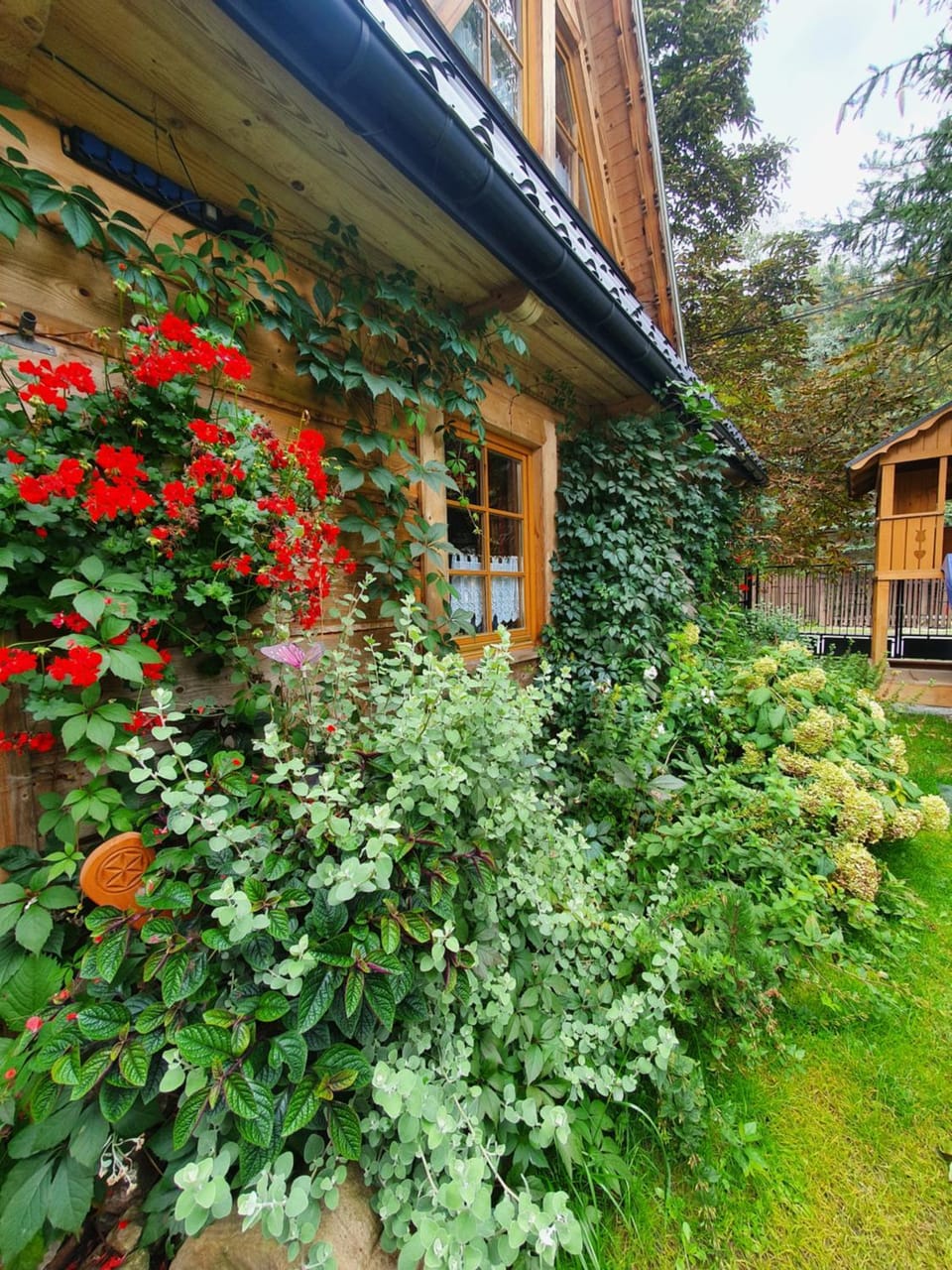 Domek Góralski Chatka Puchatka House in Zakopane
