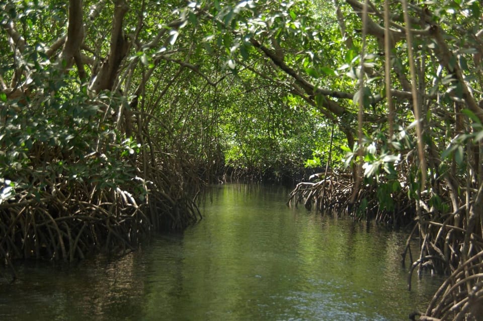 Natural landscape