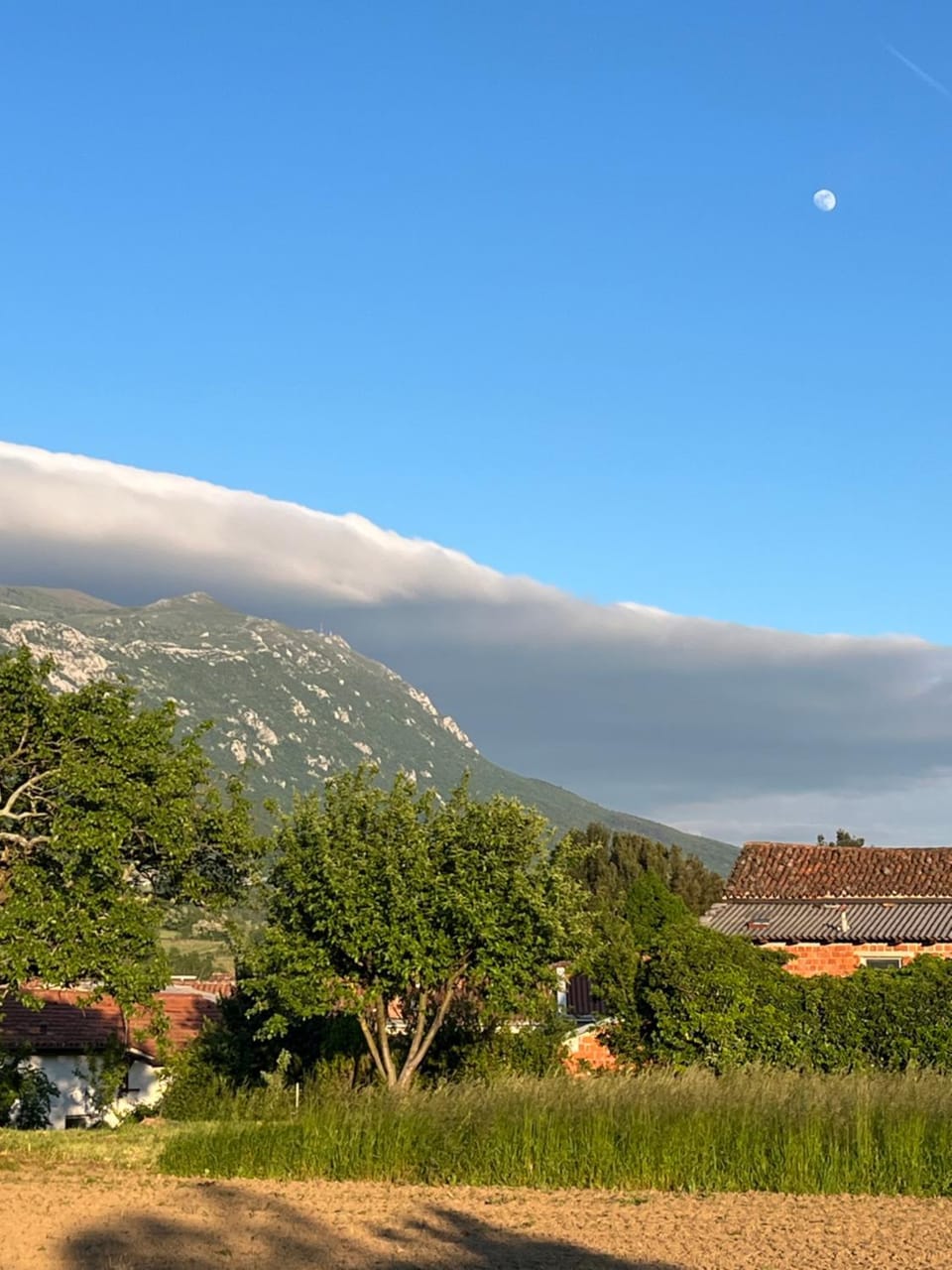 Natural landscape
