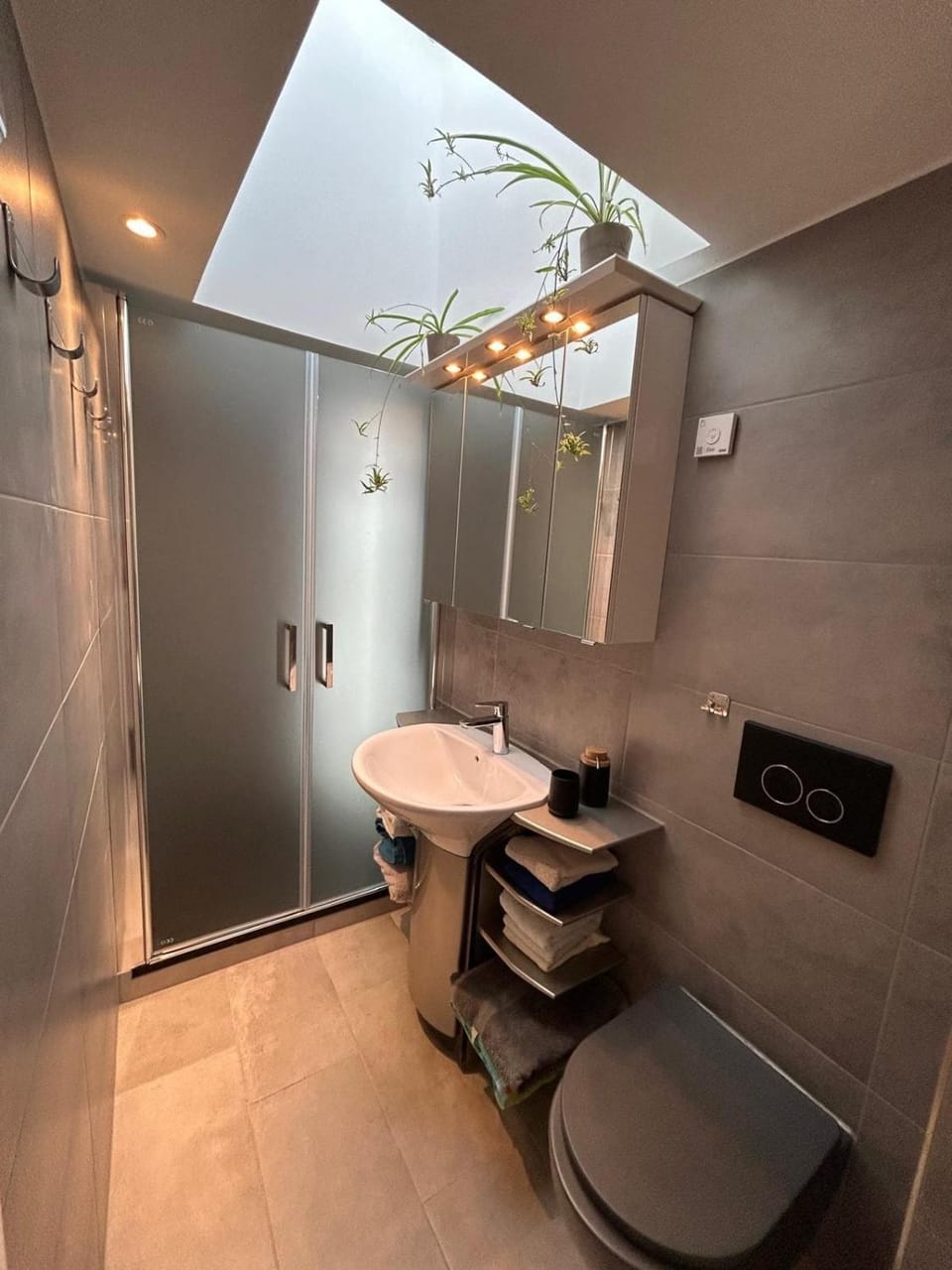Shower, Toilet, Bathroom