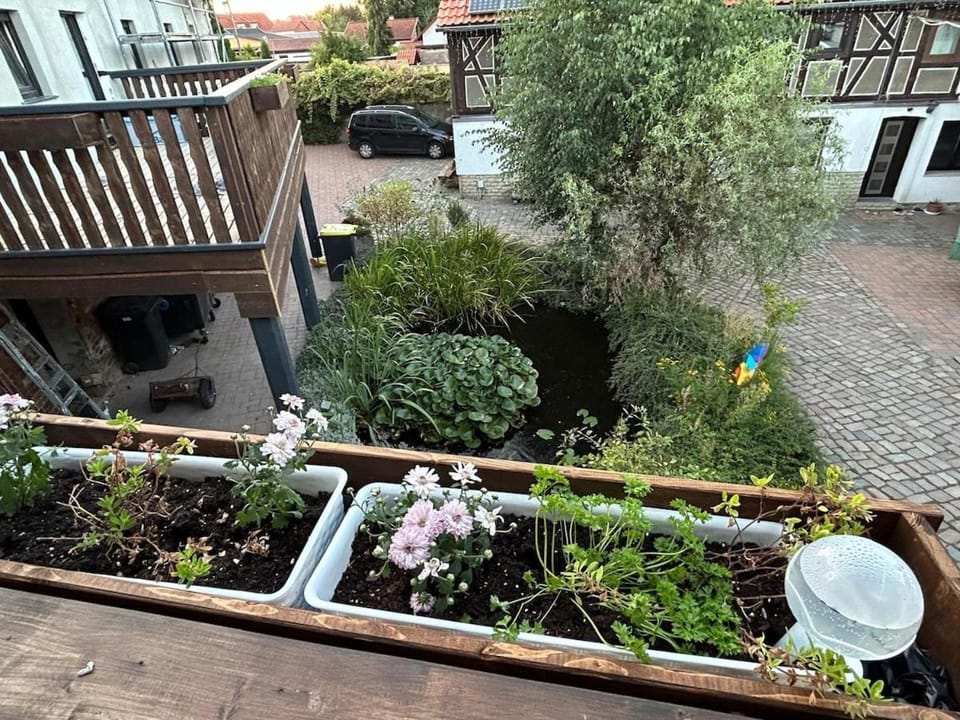 Patio, Patio, View (from property/room), Balcony/Terrace, Balcony/Terrace