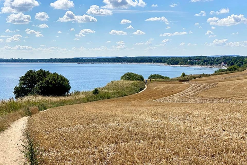Natural landscape