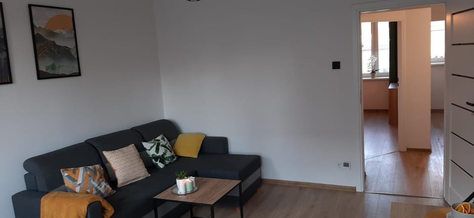 Apartament Irek Apartment in Lower Silesian Voivodeship