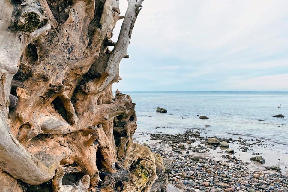 Nearby landmark, Beach