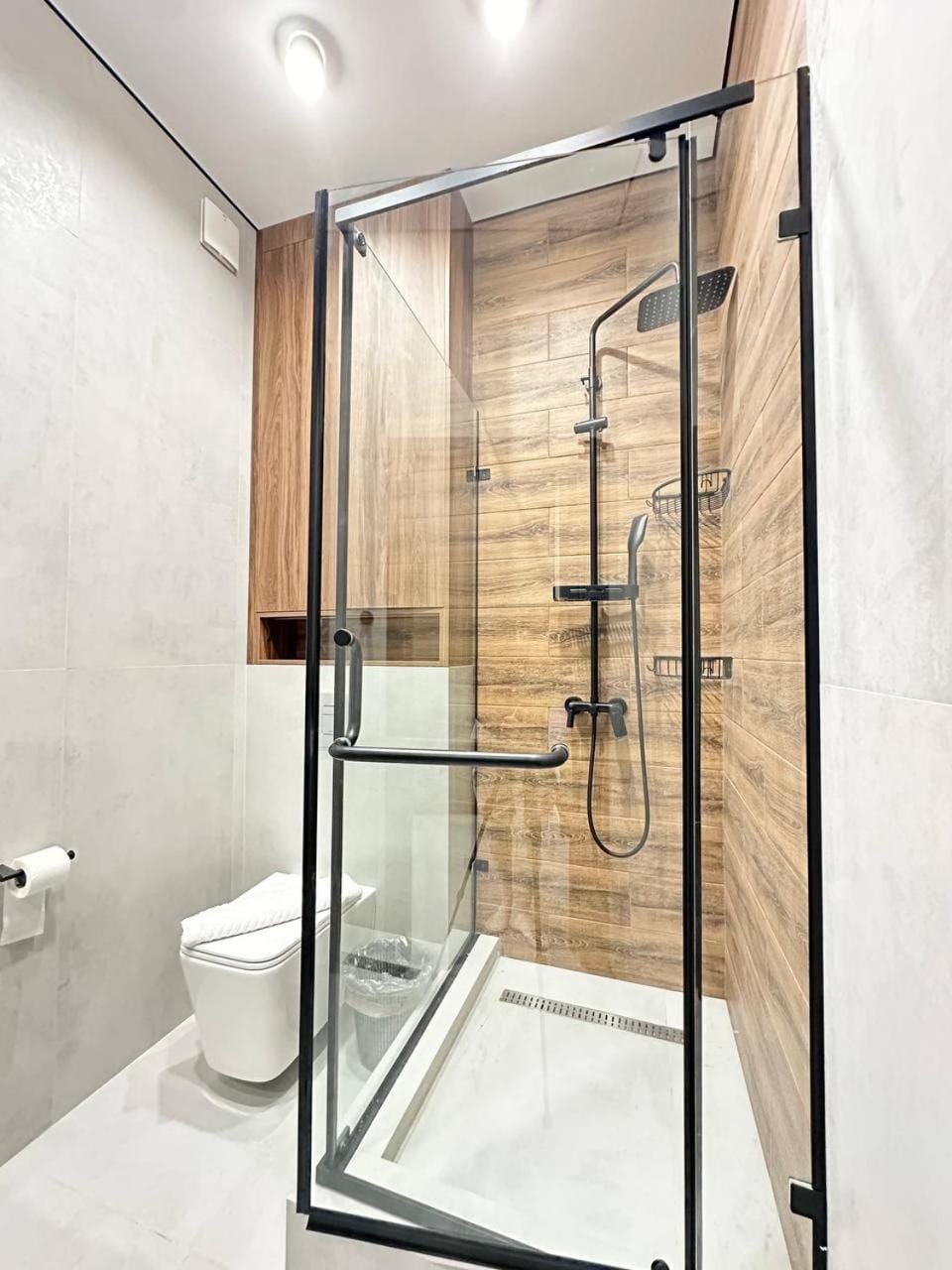 Shower, Toilet
