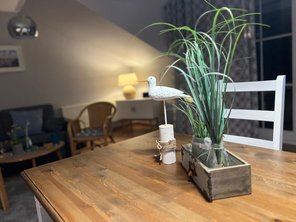 Ferienwohnung Möwe Apartment in Glowe