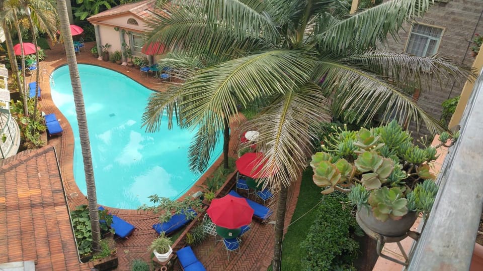 Day, Garden view, Pool view, Swimming pool, Swimming pool, sunbed