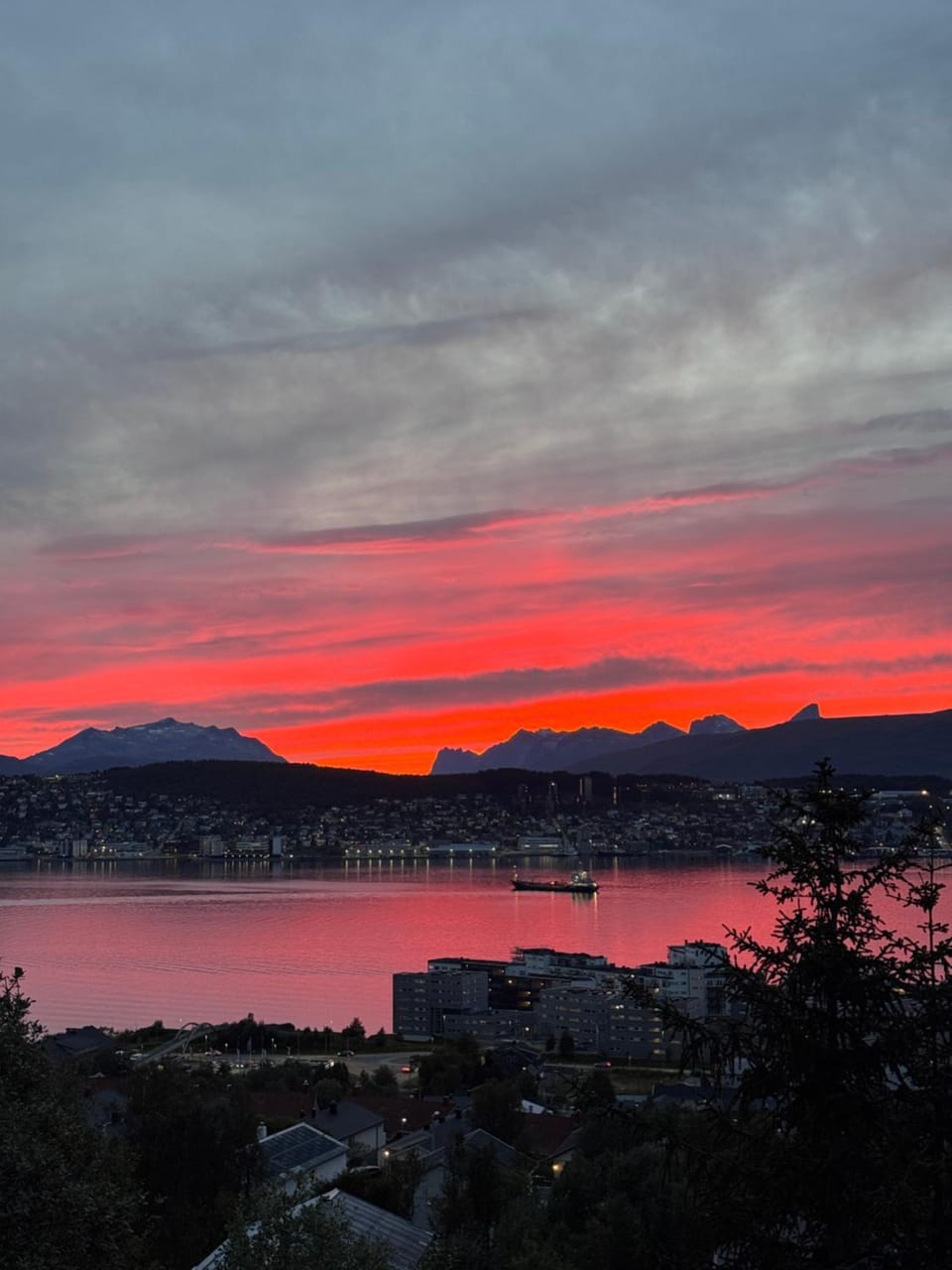 Alkove Apartment Apartment in Tromso